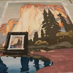 Scenic Art Drops & Murals