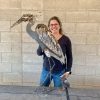 Artistic Welding – Experienced
